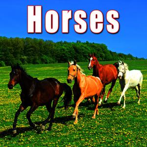 Sound Ideas的專輯Animals: Horses