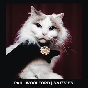 Paul Woolford的專輯Untitled (Call Out Your Name)