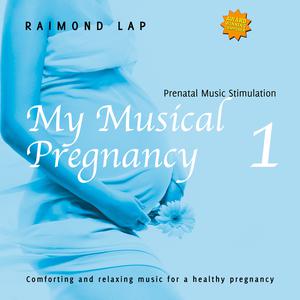 收聽Raimond Lap的Blessed Pregnancy歌詞歌曲