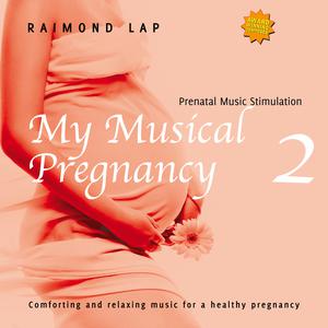 Raimond Lap的專輯My Musical Pregnancy 2