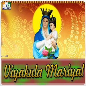 Krishnaraj的專輯Viyakula Mariyal