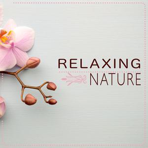 收聽Relaxing Nature的Water Wheel歌詞歌曲