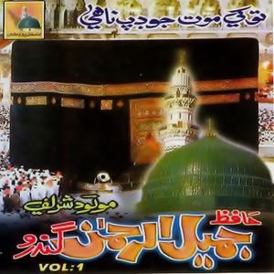 Hafiz Jamil Ul Rehman Gandro的專輯Tokay Maut Jo Dap Naahi, Vol. 1