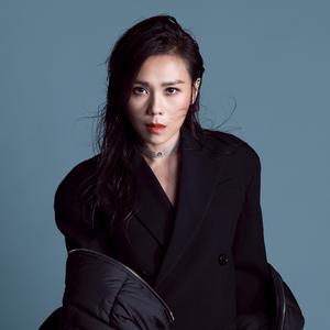 蔡健雅