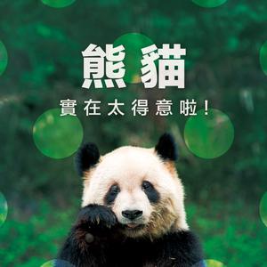 熊貓實在太得意啦!