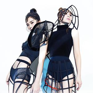 孖女正傳Twins