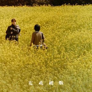 流行榜 新歌推介榜
