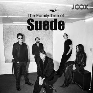 The Family Tree of Suede