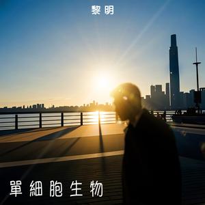 新建歌單 華語新歌派台
