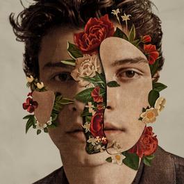 Lost In Japan 2018 Shawn Mendes Lost In Japan 2018 Shawn Mendes