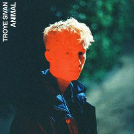 Animal 2018 Troye Sivan Animal 2018 Troye Sivan
