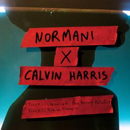 Slow Down (with Calvin Harris) 2018 Normani; Calvin Harris Slow Down (with Calvin Harris) 2018 Normani; Calvin Harris