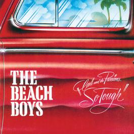 Hold On, Dear Brother 2000 The Beach Boys Hold On, Dear Brother 2000 The Beach Boys