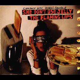She Don't Use Jelly 2003 The Flaming Lips She Don't Use Jelly 2003 The Flaming Lips