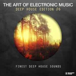 The Art Of Electronic Music - Deep House Edition, Vol. 6 dari Various Artists