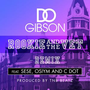 Rookie and the Vet dari D.O. Gibson
