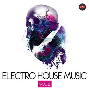 Electro House Music, Vol. 1 dari Various Artists