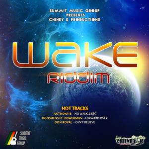 Wake Riddim dari Various Artists