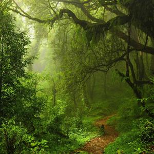Nature Conservation