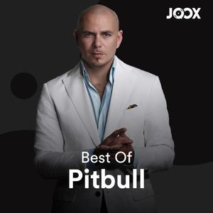 Best of: Pitbull