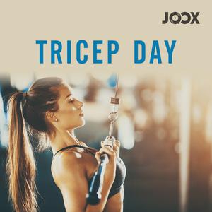 TRICEP DAY