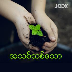 အသစ်သစ်သော