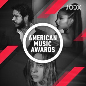 American Music Awards of 2019 [Winners]