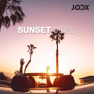 Sunset Vibes