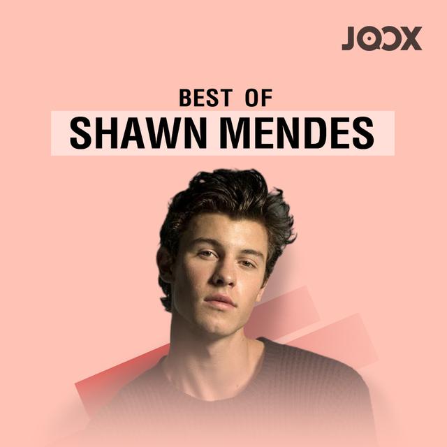 shawn mendes playlist song songs joox