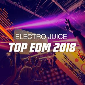 Top EDM 2018