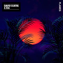 Flames 2018 David Guetta; Sia Flames 2018 David Guetta; Sia