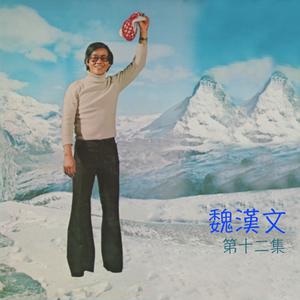 Listen to 楓紅層層 song with lyrics from 魏汉文