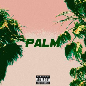 Album Palm from Atee