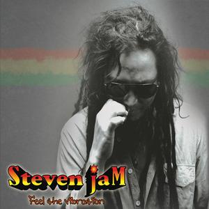 Listen to I Feel Too High song with lyrics from Steven Jam