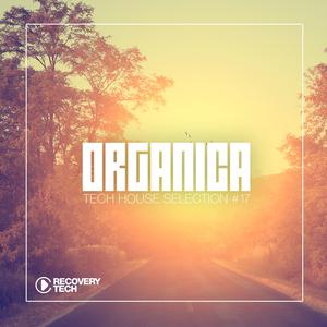 Album Organica #17 from Various Artists
