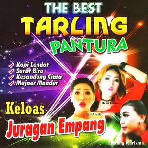 Album The Best Tarling Pantura from Dewi Kirana