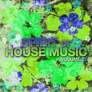 Album Spirit of House Music, Vol. 2 from Various Artists