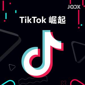2018: TikTok崛起