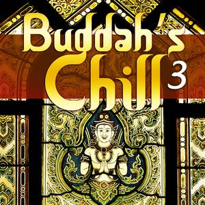 Various Artists的专辑Buddah's Chill, Vol. 3
