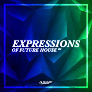 Various Artists的专辑Expressions of Future House, Vol. 7