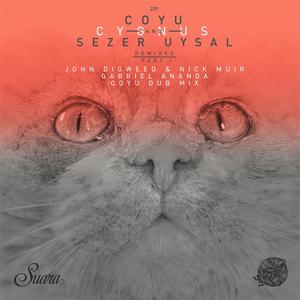 Sezer Uysal的专辑Cygnus Remixes, Pt. 1