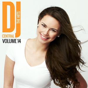Various Artists的专辑DJ Central - The Hits Vol, 14