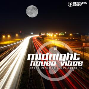 Various Artists的专辑Midnight House Vibes, Vol. 14