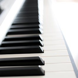 Perfection of the Piano