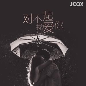 对不起,我爱你!