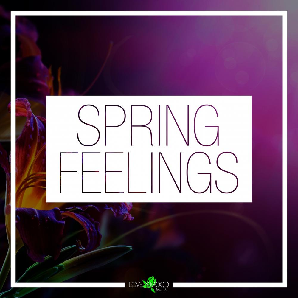 Spring Feelings อัลบั้มของ Various Artists Sanook Music