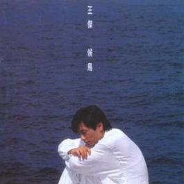 Without You 1994 王杰 Without You 1994 王杰