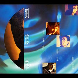 Xia Yu Wan Shang 1993 刘德华 Xia Yu Wan Shang 1993 刘德华