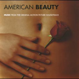 American Beauty 1999 American Beauty American Beauty 1999 American Beauty