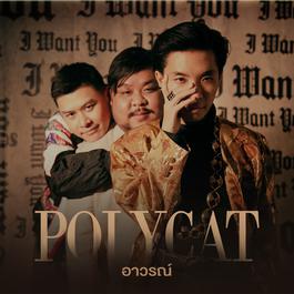 อาวรณ์ 2018 Polycat อาวรณ์ 2018 Polycat